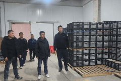 <strong>严查细检建防地 护航商户保平安——常德</strong>